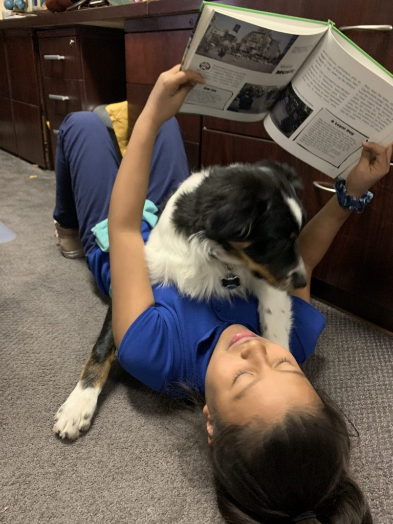 kid reading to dog