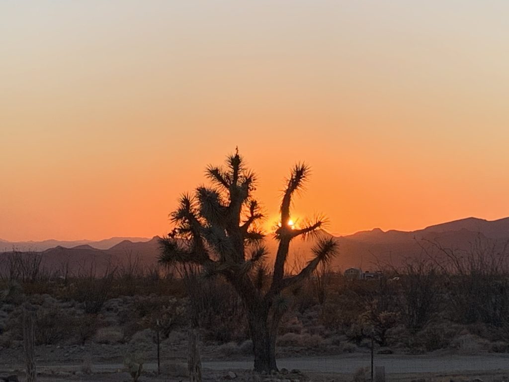 Arizona sunset view from our homestead farm in the desert