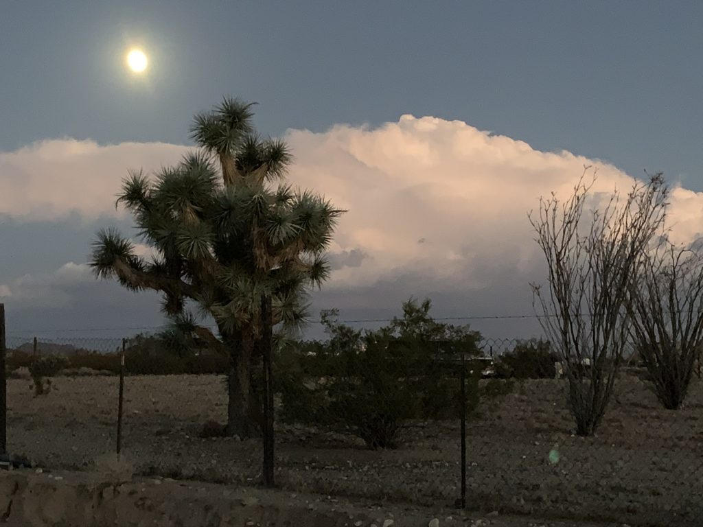 desert moonrise