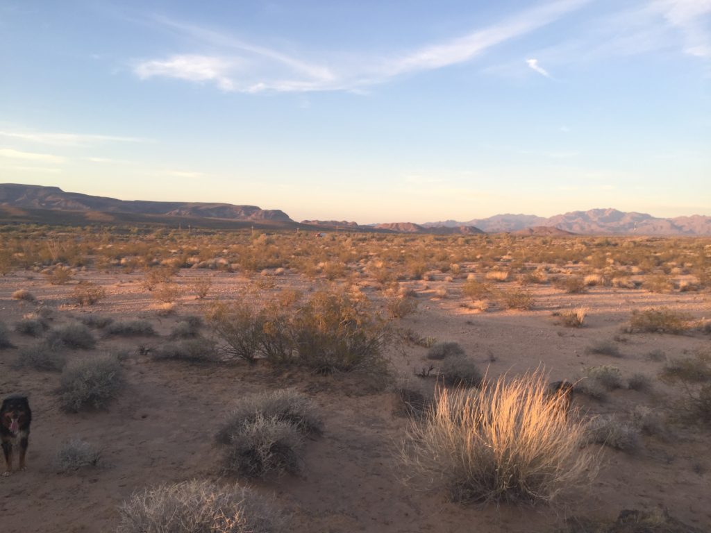 arizona desert