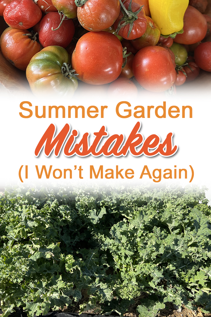 Summer Garden mistakes