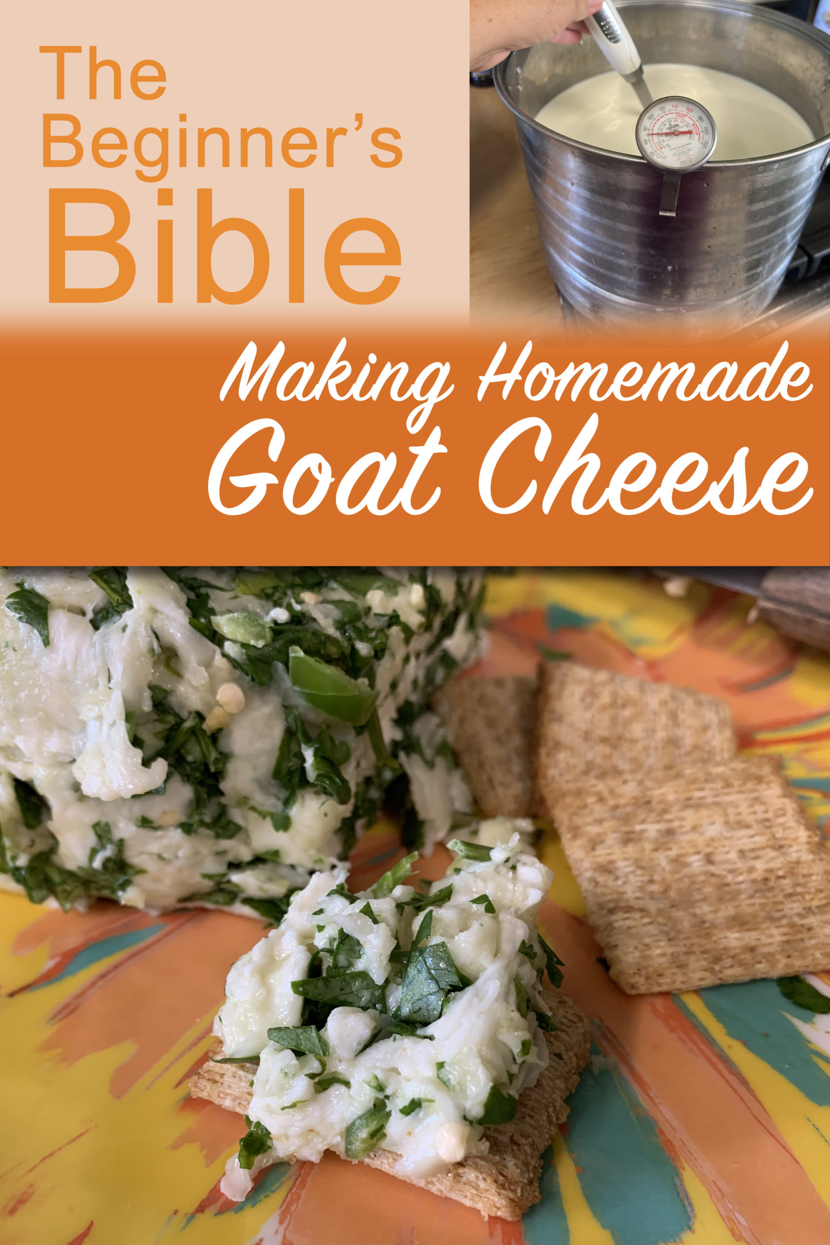 making homemade goat cheese