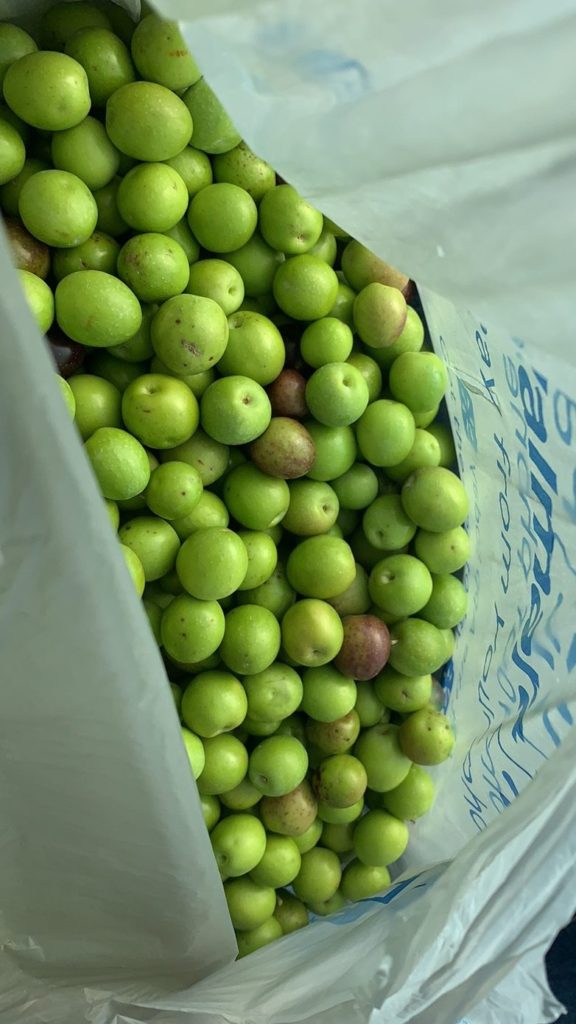 green olives