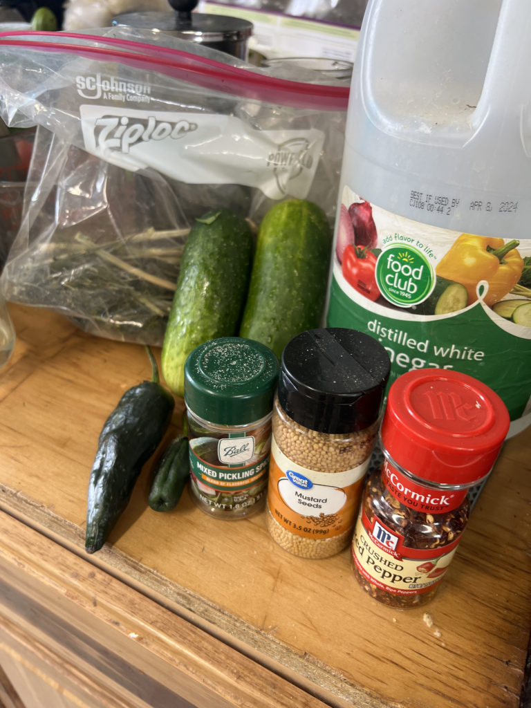 pickle recipe spices and ingredients