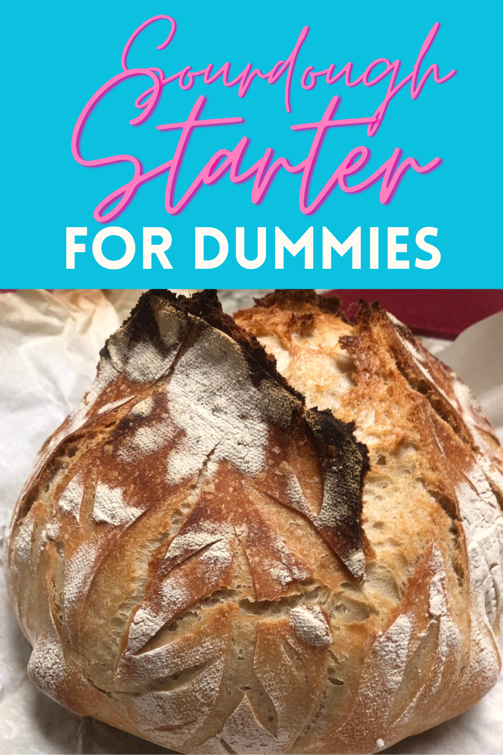 Homemade Sourdough Starter for Dummies (not really)