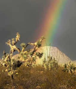 rainbow desert storm