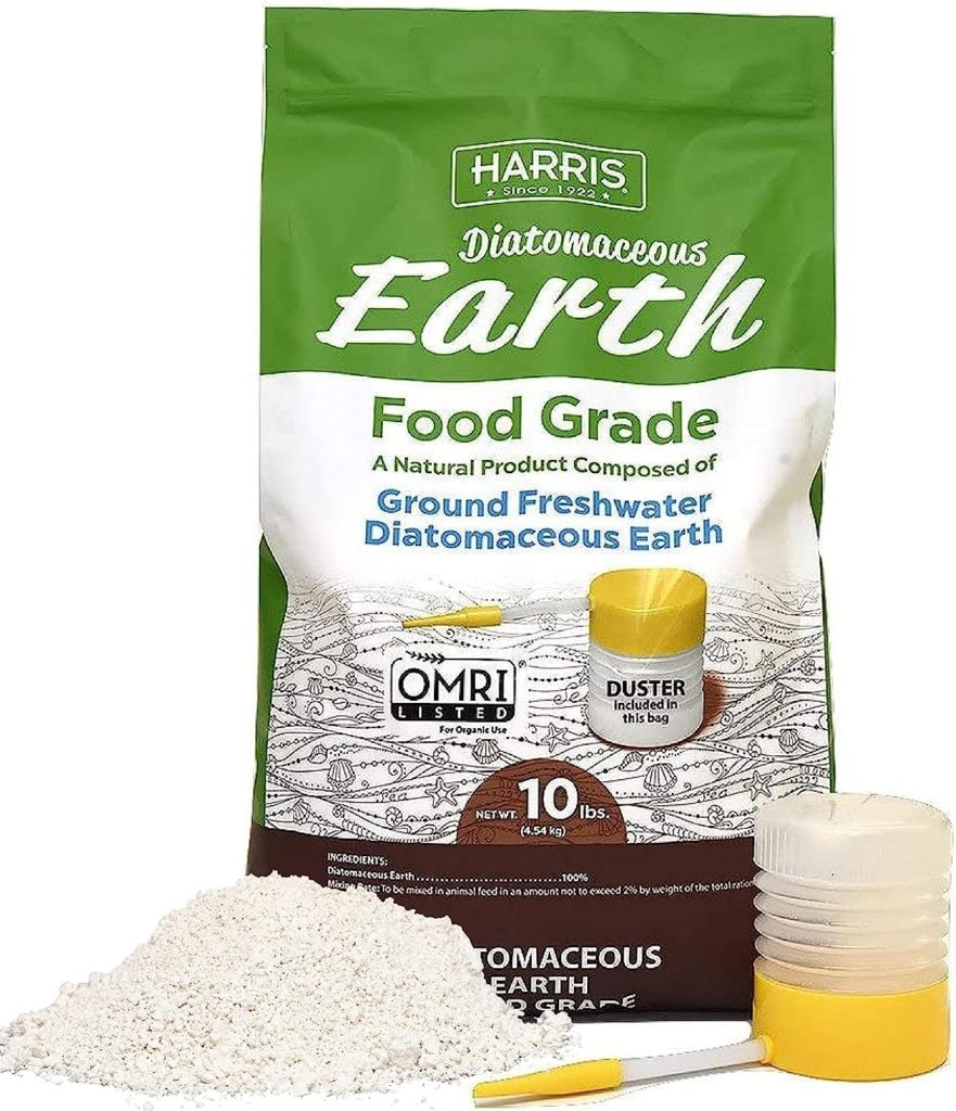 diatomaceous earth is a potent insect killer