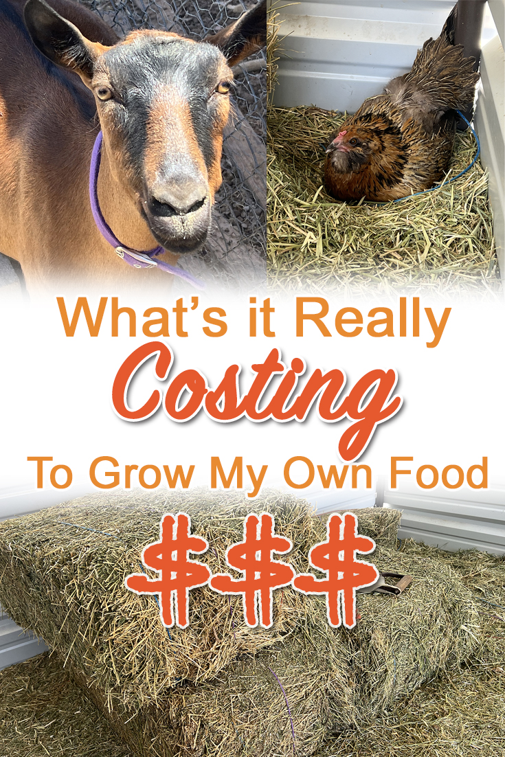 real cost to grow food
