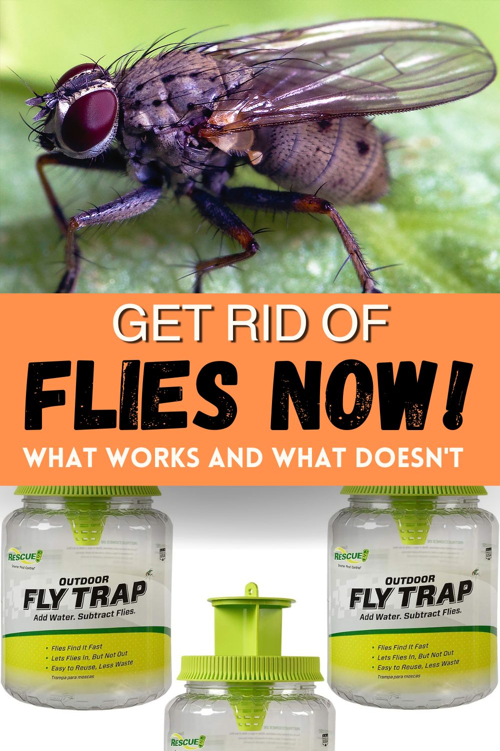 get rid of flies now