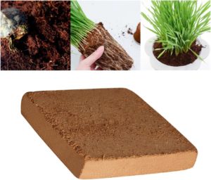 coconut coir