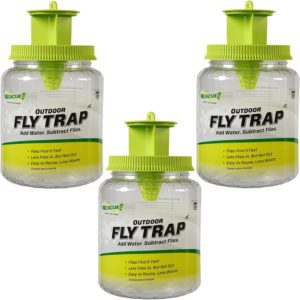 outdoor fly trap