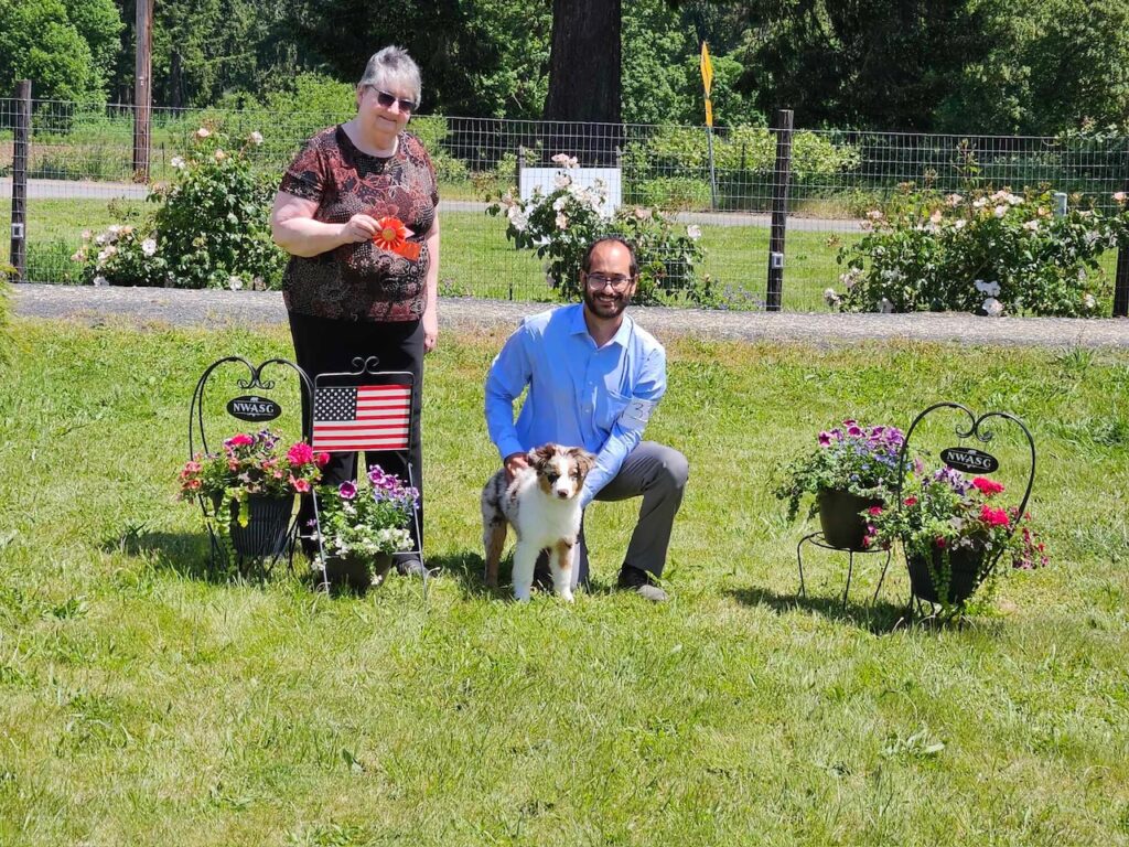 best in show puppy aussie